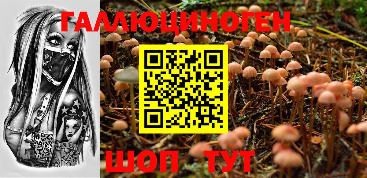 Псилоцибиновые грибы мицелий  Вход с VPN  где продают   Похвистнево  Галлюциногенные грибы MAGIC MUSHROOMS 
